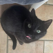 Avatar de la communauté Steam