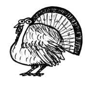 AverageTurky