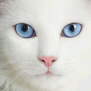 Рисова кутя