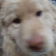 MaKy
