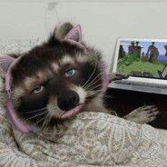 Абас