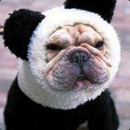 Steam profile picture for @bails