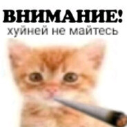 стояковский