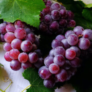 uvas
