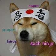 Meme Dog