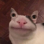 MeMeMeoW