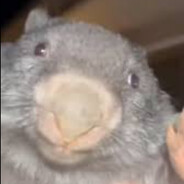 Purified potato avatar