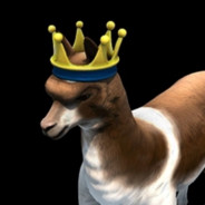 Alfred_the_Alpaca