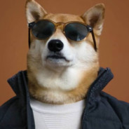 DoggoStyle.