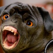 DogsMADDDDDDDDDDDDDDDDDDDD