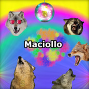Maciollo