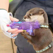 Nintenix