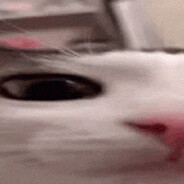 Sentik