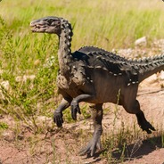 raptorxm