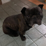 Tuca