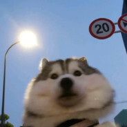 sss