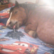 ᴏɴᴅʀᴀ avatar