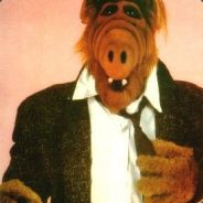 {SWKL}sLoNiK dAmBo