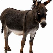 1-WayMULE