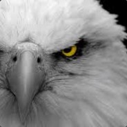 EaglePaW