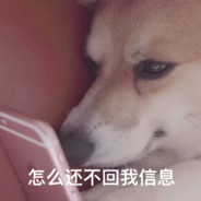 撑不了的伞别硬撑