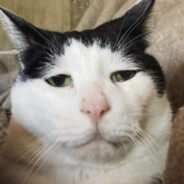 Fat