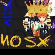 -nO_sX