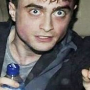 Perky Potter