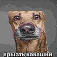 Кiпiтiльнiк