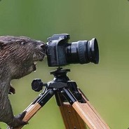Addsfour
