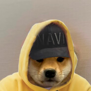 Navi_Muravey