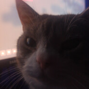 szybkipiesel.♥♥♥♥♥♥♥♥♥♥