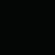 nes