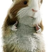 Logannzinho