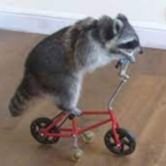 RusticRaccoon
