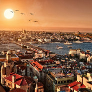 Mitçi Fly 🛪