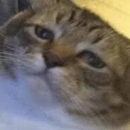 666