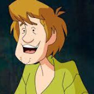 _Shaggy_228