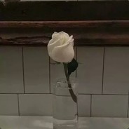挨打木头