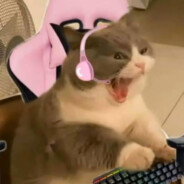 nika.na