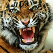 TORA