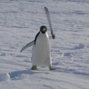 Mcern