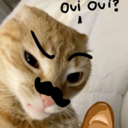 QUASO