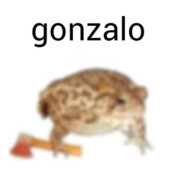 Gonzalo