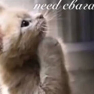 need свага