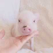 600分