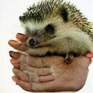 Minister Hedgehog
