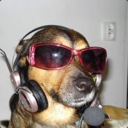 NeBq