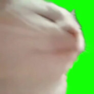 SandyFatCheeks