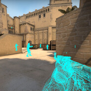 VAC_BANNED